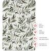 All-Stages Bassinet Sheet, Olive Branches - Crib Sheets - 4