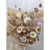 Dried Lunaria Bouquet - Bouquets - 3