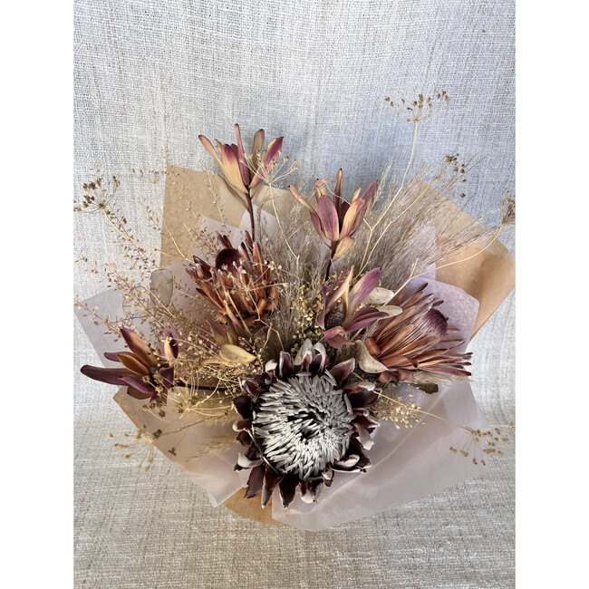 Dried Flowers Protea Rosette — Plenty Flowers