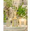 Ironwood Room Spray - Room Spray - 2