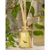 Lemon, Verbena, and Cedar Diffuser, 250ml - Diffusers - 2