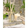 Ironwood Diffuser, 250ml - Diffusers - 3