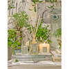 Ironwood Diffuser, 250ml - Diffusers - 4