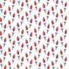 Charles Boys' Short Set, Patriotic Popsicles - Mixed Apparel Set - 2