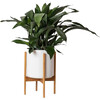 Cast Iron Plant, White Mid-Century Ceramic with Dark Wood Stand - Planters - 1 - thumbnail