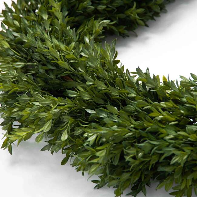 Green Boxwood Garland - Garlands - 2