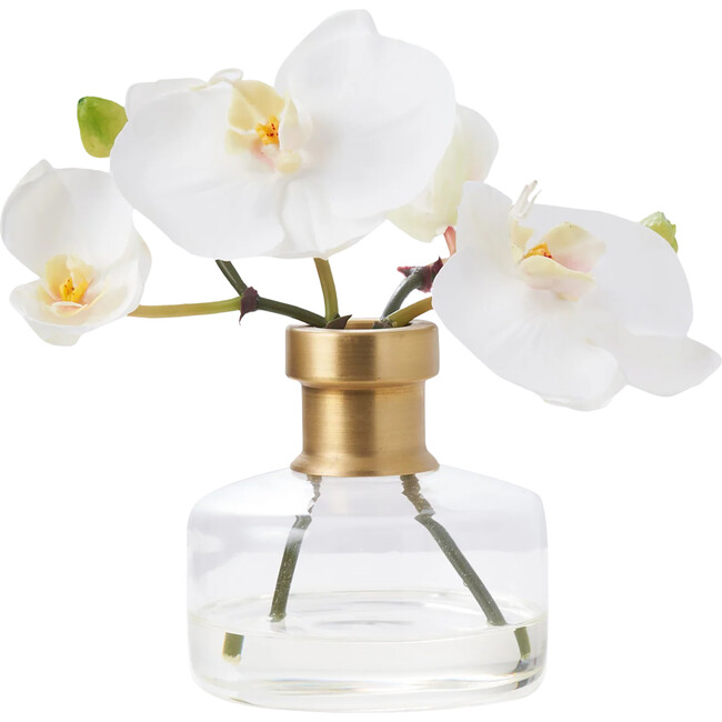 White Orchid Blooms in Rimmed Bottle Vase