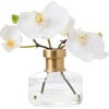 White Orchid Blooms in Rimmed Bottle Vase - Bouquets - 1 - thumbnail