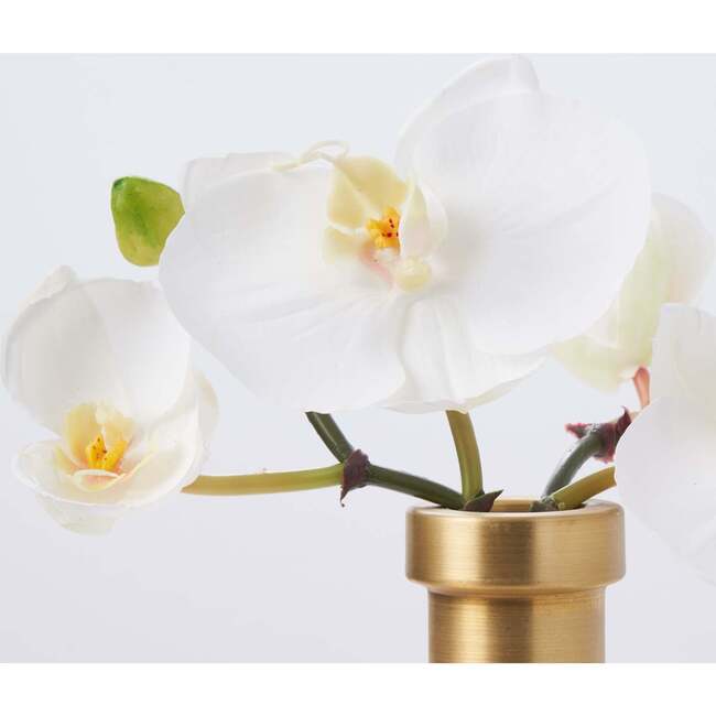 White Orchid Blooms in Rimmed Bottle Vase - Bouquets - 2