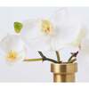 White Orchid Blooms in Rimmed Bottle Vase - Bouquets - 2