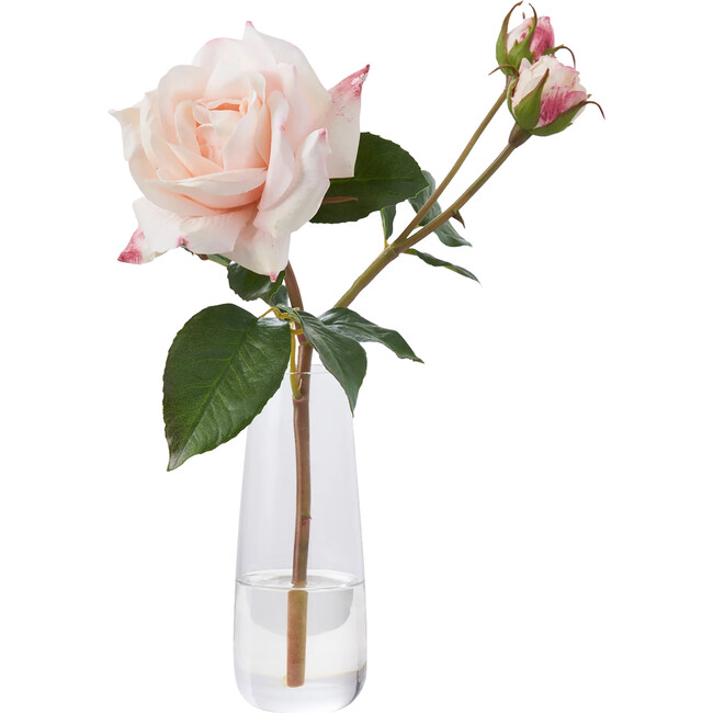 Blush Pink Real Touch Juliette Rose Stem & Buds in Fluted Glass Vase - Bouquets - 1