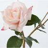 Blush Pink Real Touch Juliette Rose Stem & Buds in Fluted Glass Vase - Bouquets - 2 - thumbnail