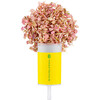 First Day Of School Confetti Popper - Party Accessories - 2