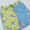 Shark Block Water Appearing Swim Trunk, Green And Blue - Swim Trunks - 3