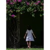 Coco Ruffle Collar Dress, Chantilly Plumetis - Dresses - 7
