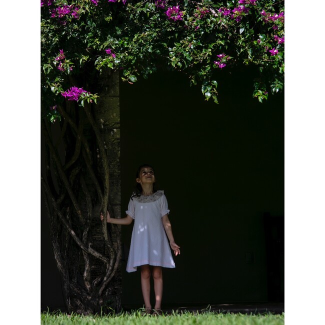 Coco Ruffle Collar Dress, Chantilly Plumetis - Dresses - 9
