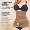 Revive 3-In-1 Postpartum Recovery Support Belt, Warm Tan - Postpartum Care - 2