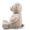 Honey Teddy Bear, 15 Inches - Plush - 2