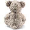 Honey Teddy Bear, 15 Inches - Plush - 3
