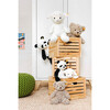 Honey Teddy Bear, 15 Inches - Plush - 5