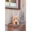 Berno Goldendoodle Dog, 14 Inches - Plush - 3
