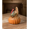 Traditional Turkey On Pumpkin - Accents - 3 - thumbnail
