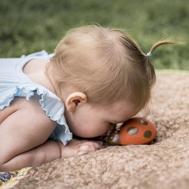 Ladybug Natural Rubber Teether, Rattle & Bath Toy - Bath Toys - 2