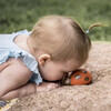 Ladybug Natural Rubber Teether, Rattle & Bath Toy - Bath Toys - 2