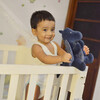 Midnight Dragon Organic Plush Toy - Plush - 2