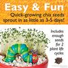 The Very Hungry Caterpillar Ready to Grow Garden - Activities - 6