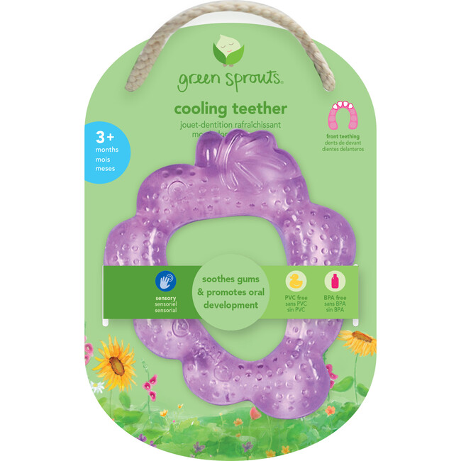 Fruit Cooling Teether, Assorted Fruit