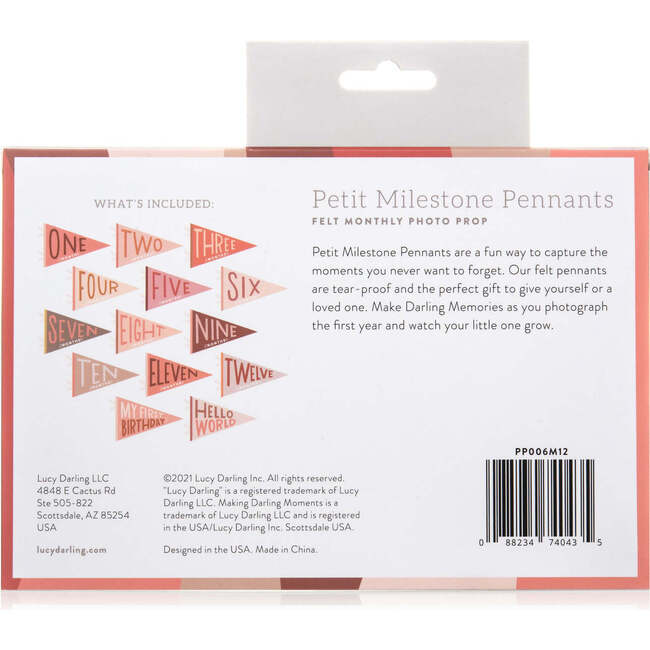 Blushing Meadow Petit Milestone Pennant - Mixed Gift Sets - 2