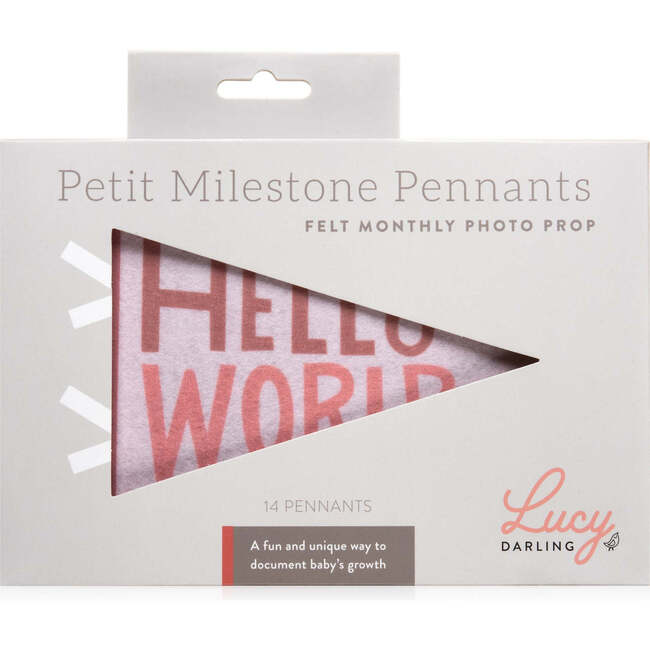 Blushing Meadow Petit Milestone Pennant - Mixed Gift Set - 3