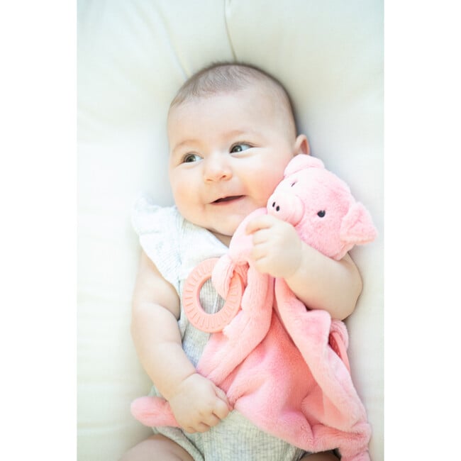 Pig Teether Buddy - Teethers - 6