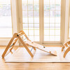 Mighty Indoor Gym - Activity Gyms - 2