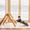 Mighty Indoor Gym - Activity Gyms - 6
