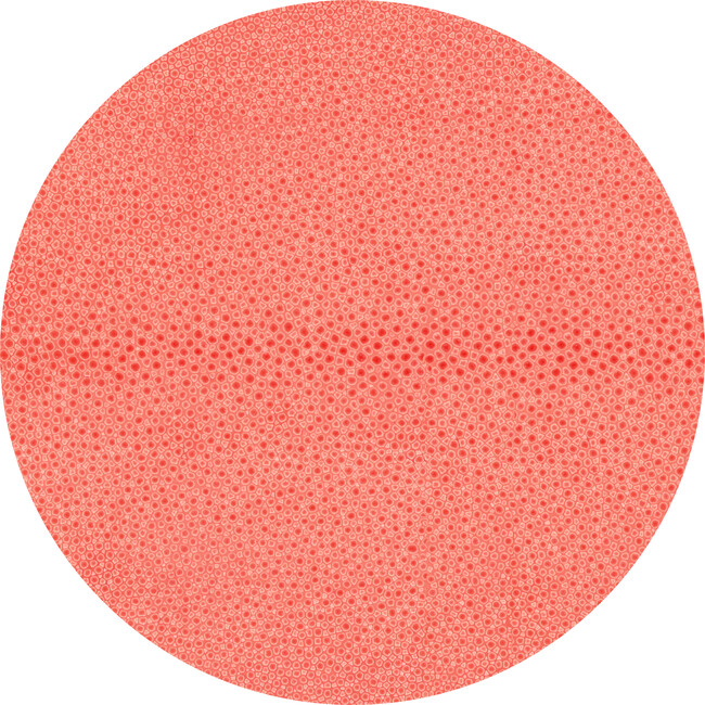 Shagreen Round Placemat/Charger, Coral