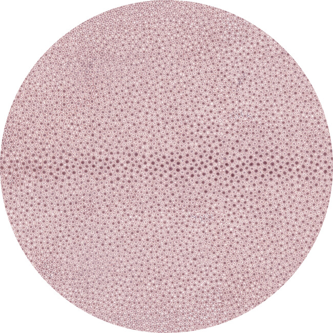 Shagreen Round Placemat/Charger, Pink