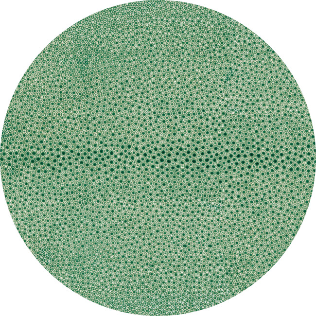 Shagreen Round Placemat, Green