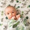 Premium Cotton Muslin Crib Sheet, Jungle - Crib Sheets - 4