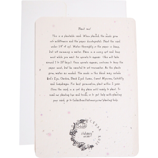 Plantable Unicorn Seahorse Birthday Card - Paper Goods - 3