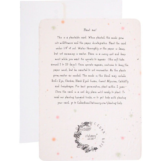 Plantable Green Bow Welcome Baby Card - Paper Goods - 3