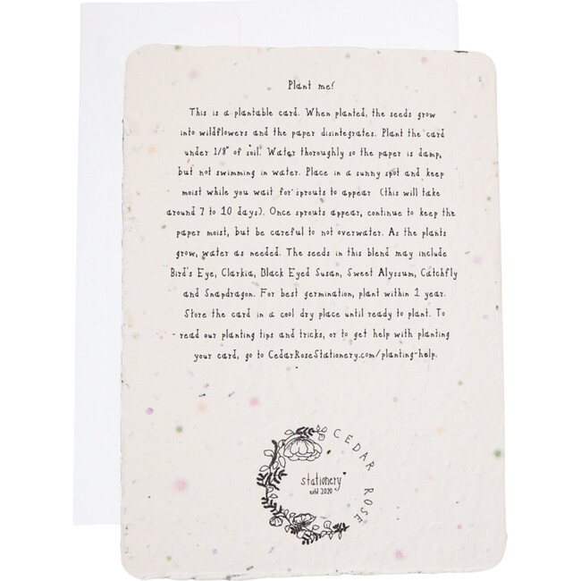 Plantable Elephant Birthday Card - Paper Goods - 3
