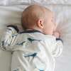 Ocean Friends Romer, Blue - Rompers - 2