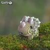 Tricera 3D Puzzle - Puzzles - 4