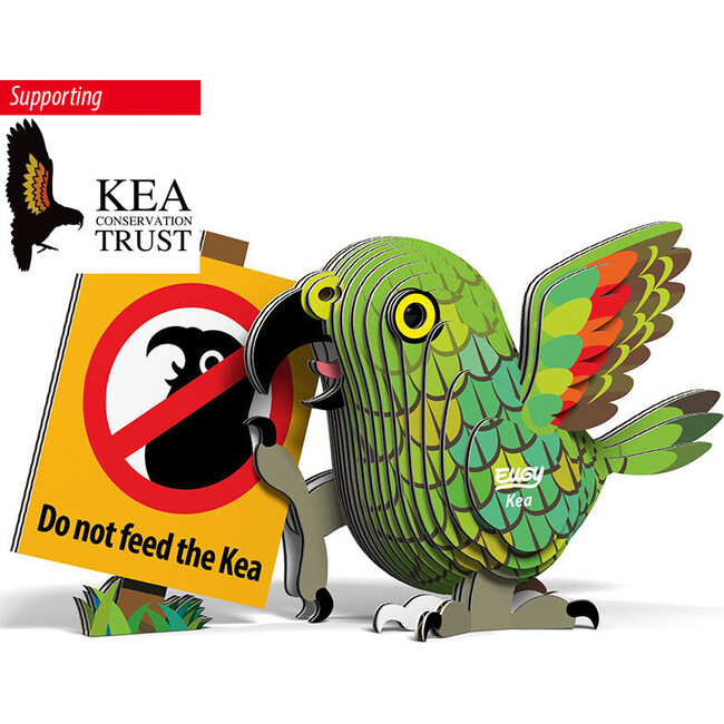 Kea 3D Puzzle - Puzzles - 2