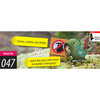 Kea 3D Puzzle - Puzzles - 4