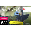 Bald Eagle 3D Puzzle - Puzzles - 3