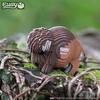 Bison 3D Puzzle - Puzzles - 4
