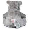 Little Bear - Stormy - Plush - 3